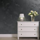 Silver Sand decorative paint in Black 40 shade with a wind-blown sand textured pearlescent finish on a wall