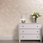 Silver Sand decorative paint in Malaga S3 shade with a wind-blown sand textured pearlescent finish on a wall
